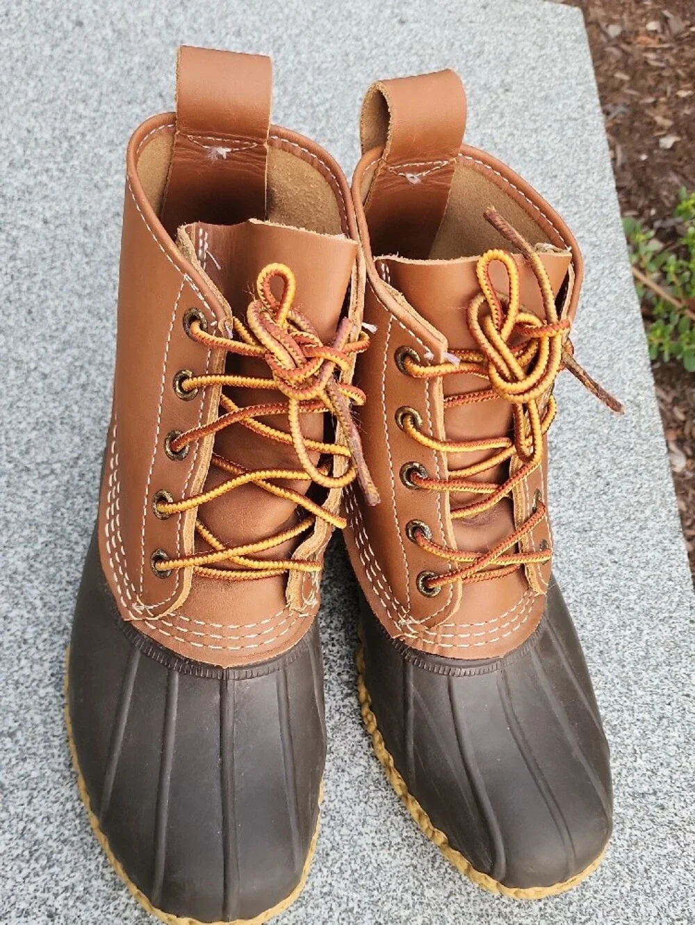 LL Bean 6
